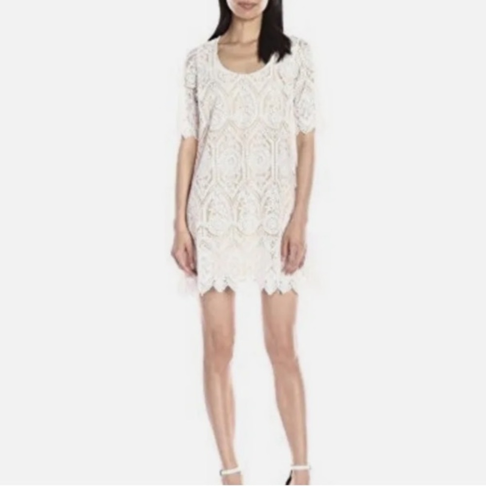 PLENTY BY TRACY REESE ANGELA IVORY LACE SHIFT DRESS SIZE 12 🌟NWOT🌟